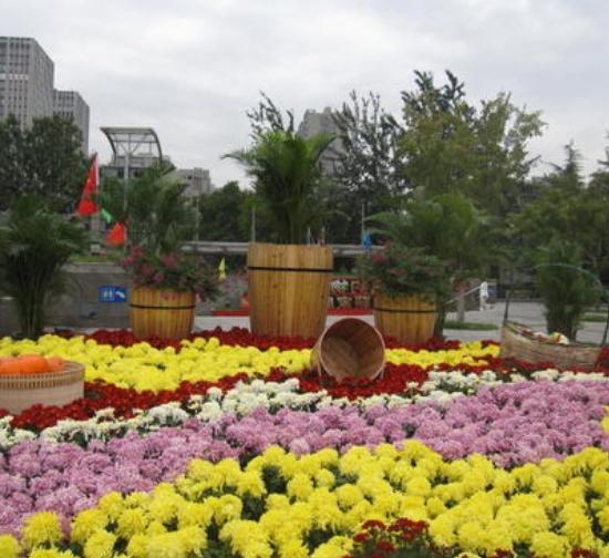 忻州城市菊展设计